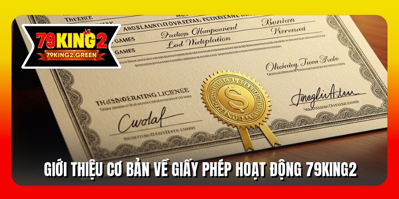 Giới thiệu cơ bản về giấy phép hoạt động 79king2