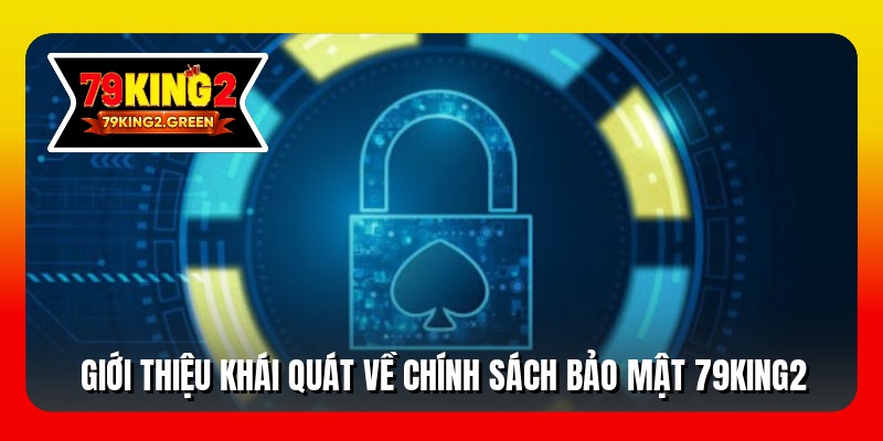 Giới thiệu khái quát về chính sách bảo mật 79king2